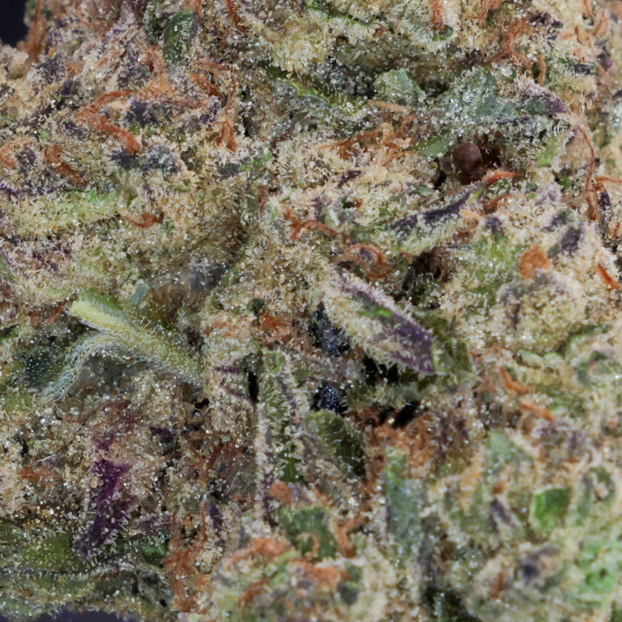 Premium - Placeholder