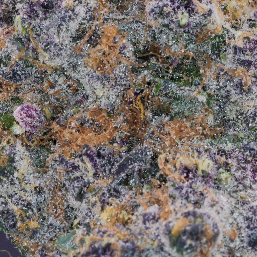 Black Label - Placeholder